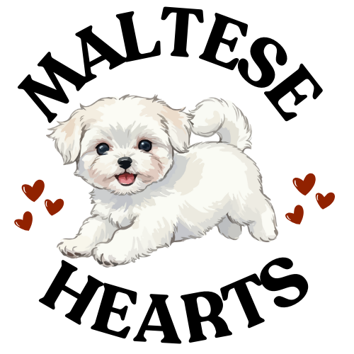 Maltese heart